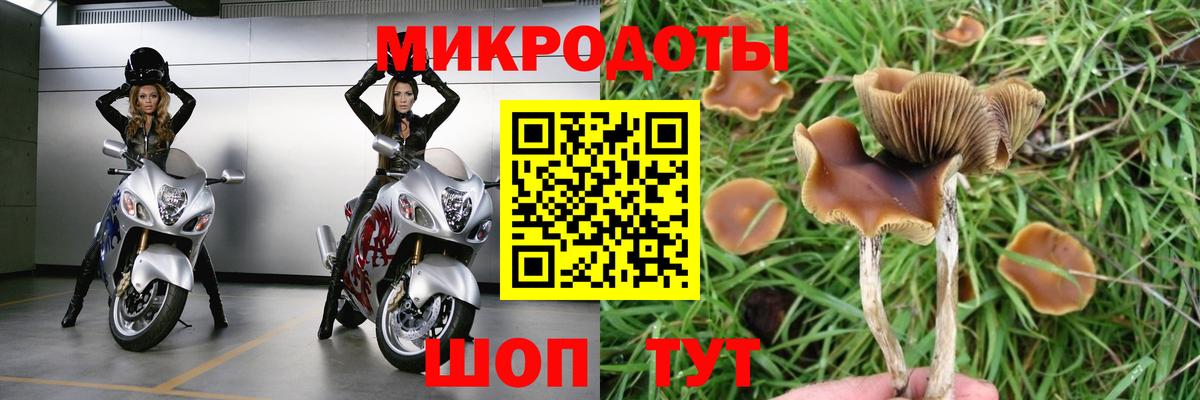 Галлюциногенные грибы Cubensis  Вход с VPN  Заводоуковск 